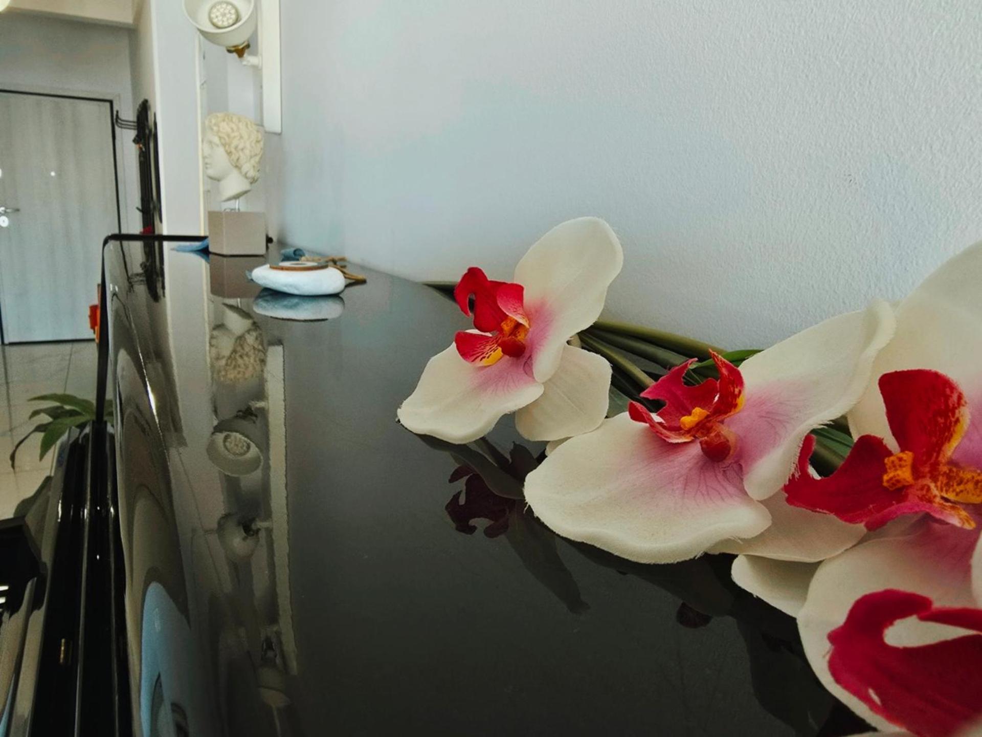 Vintage Art Home On The Sea テッサロニキ エクステリア 写真